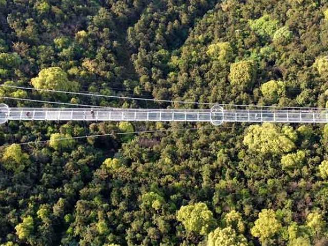 Du lịch - Khám phá cầu kính Giang Âm dài hơn 500m tại Giang Tô, Trung Quốc