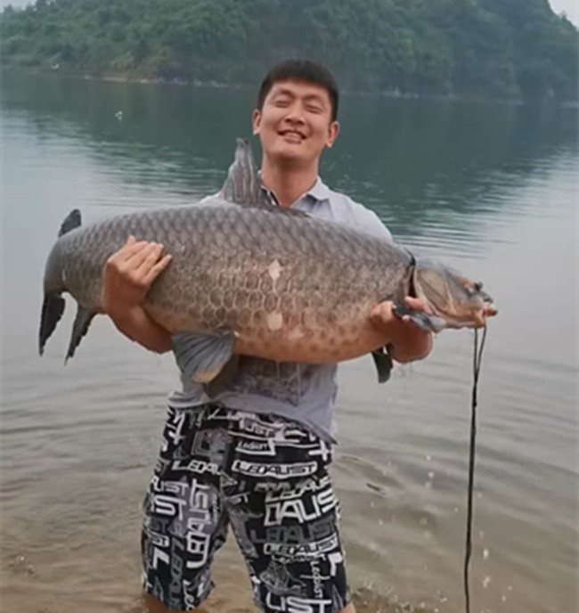 Loay hoay hai tiếng mới đưa được vào bờ, cá "khủng" được trả giá hơn 3 triệu đồng - 3