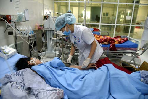 Nhầm lẫn tai hại chủ nhà "đãi khách" bằng lá ngón vì tưởng rau rừng - 1