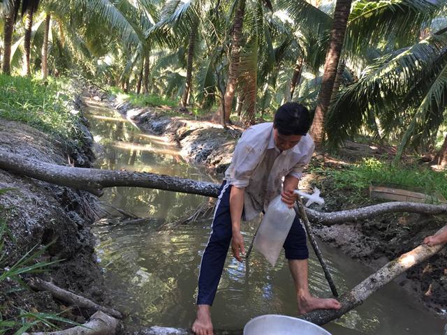 Thạc sĩ bỏ việc nhà nước về làm giàu kiểu con tôm &#34;đòi ôm&#34; cây dừa - 3
