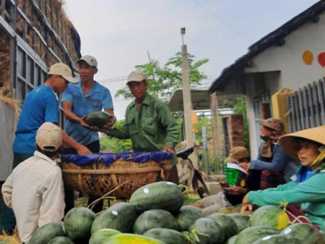 Thị trường - Tiêu dùng - Trung Quốc "làm khó", xuất khẩu rau quả vẫn lấy lại “phong độ”