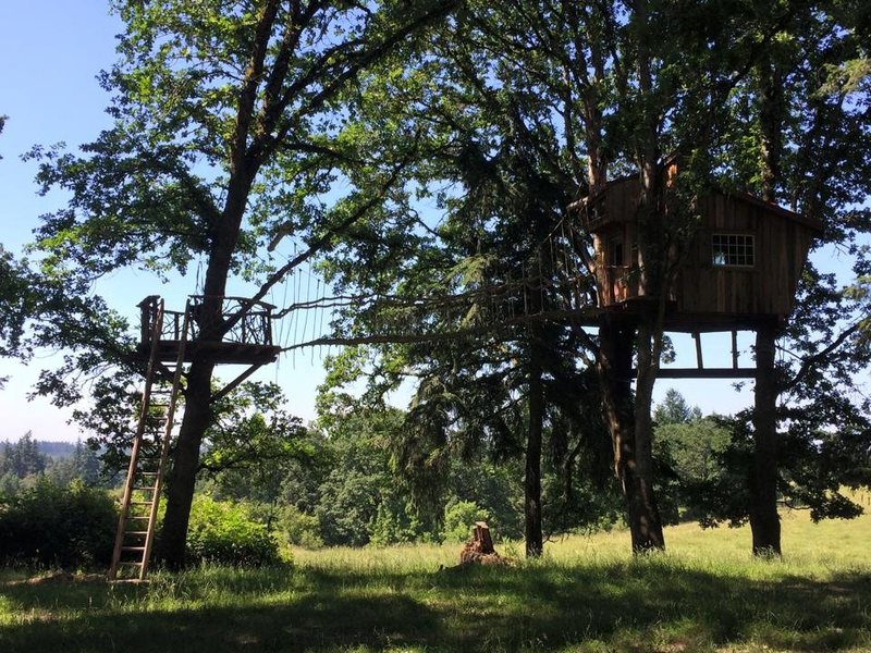 Những trường học siêu dị chẳng ai ngờ có thể tồn tại trên đời - 5