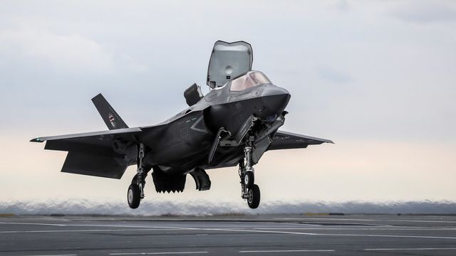 Siêu tiêm kích tàng hình F-35B Mỹ hỏng nặng vì đụng độ với... một con chim - 1