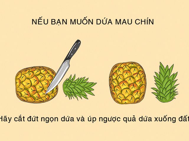 Ẩm thực - 15 mẹo nấu nướng đơn giản giúp bạn thành “thần”