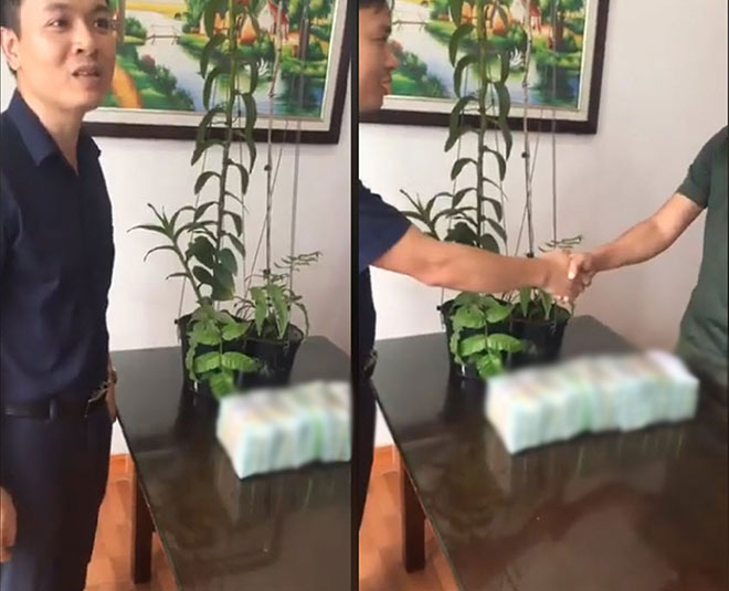 Mang ba lô tiền 500 nghìn mua 2 cây lan đột biến gen, người đàn ông gây xôn xao - 2
