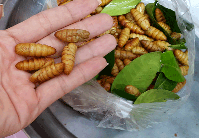 6. Beondegi (nhộng tằm) - Hàn Quốc, Việt Nam. Người Việt Nam sẽ không lạ gì với món ăn này. Con nhộng được luộc hoặc xào như một loại thực phẩm bổ dưỡng. Mặc dù hình dạng là một chút đáng sợ, nhưng chúng là thịt và chất béo.