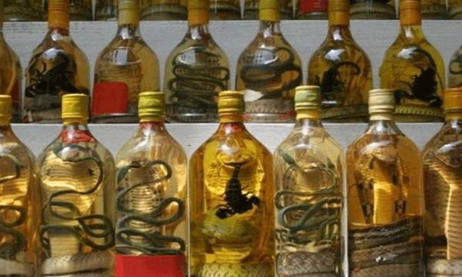 14. Rượu rắn - Châu Á. Không chỉ ở Việt Nam, rượu rắn còn rất phổ biến ở Trung Quốc và nhiều nước châu Á khác. Rượu ngâm càng lâu thì càng quý.