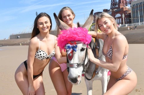 Nắng nóng kéo dài ở Anh, nhiều cô gái xinh đẹp khoe thân hình “đốt mắt” với bikini - 1