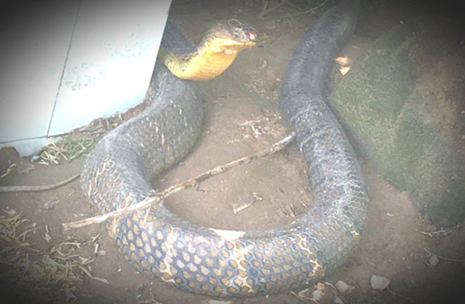 Nóng 24h qua: Thông tin sốc vụ phát hiện thi thể bị đổ bê tông ở Bình Dương - 4