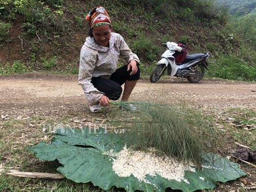 Nữ cao thủ kể chuyện ly kỳ vào rừng săn đặc sản trứng kiến cực lạ - 5