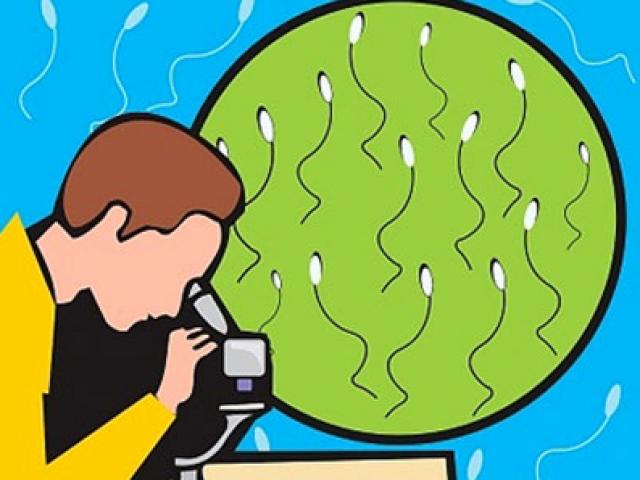 Sức khỏe đời sống - 23 ngân hàng tinh trùng ở Việt Nam kêu gọi nguồn hiến vì 'cạn vốn'