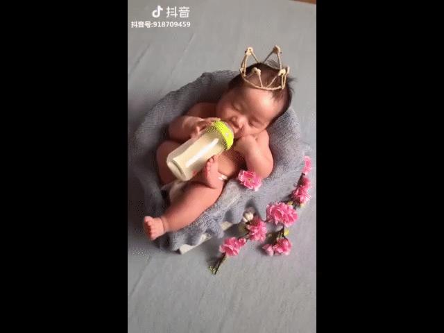 Video Clip Cười - Ăn ngủ cũng phải có thần thái "quý tộc"