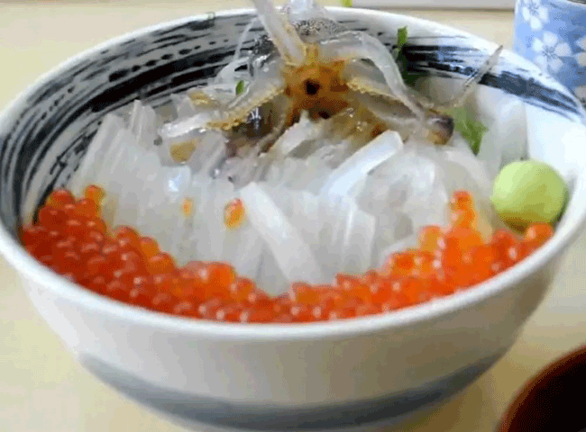 7. Katsu ika odori-don là một món ăn của Nhật Bản gồm có cơm hoặc mì được phủ bạch tuộc sống. Bạch tuộc vẫn còn sống, chúng bơi và vật lộn trong nước sốt khi cơ bắp của nó phản ứng với độ mặn của muối. Với các thực khách quốc tế, đây thực sự là món ăn rất đỗi kinh dị.
