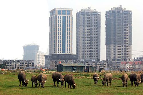 Ồ ạt mua đất là &#34;chôn&#34; tiền vào đất - 2