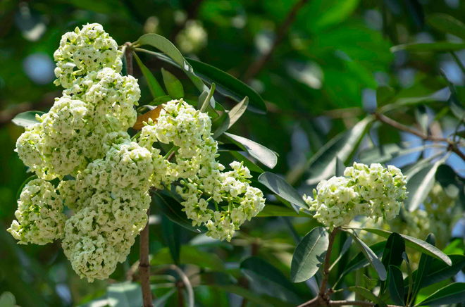 Nóng 24h qua: Nhóm phụ nữ nghi giết người rồi đổ bê tông thú nhận tội ác - 2