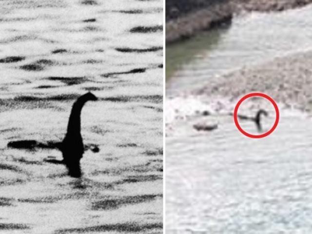 Quái vật hồ Loch Ness đã bơi đến Canada?