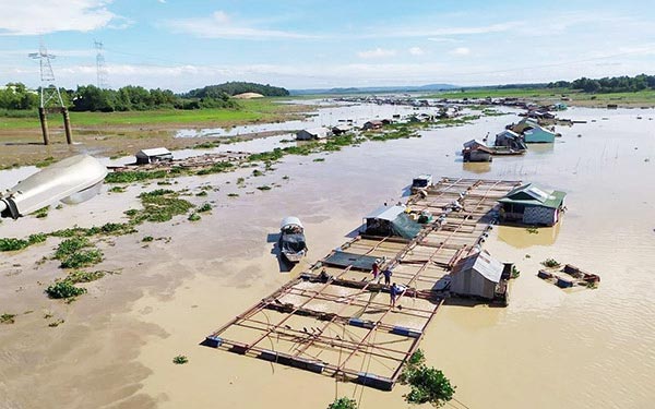Đồng Nai: Hàng trăm tấn cá chết trên sông La Ngà là do... mưa to - 1