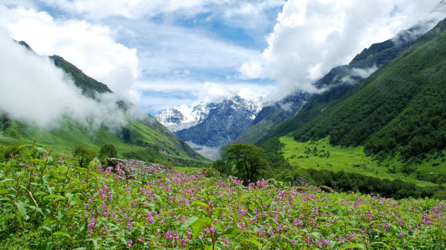 Vườn quốc gia Thung lũng các loài hoa, Uttarakhand: Được phát hiện và năm 1931, thung lũng nằm ẩn mình giữa dãy núi Himalaya và hiện là một di sản thế giới UNESCO. Nơi đây trở nên rực rỡ với nhiều loài hoa đua nở vào những tháng ấm áp trong năm.