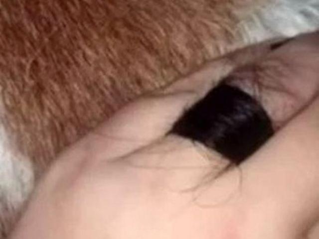 Bạn trẻ - Cuộc sống - Cô gái khoe nhẫn đính hôn khiến dân mạng "kinh tởm"