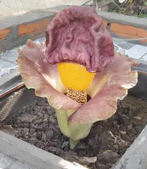 Nóng 24h qua: Nhiều vấn đề nóng được nêu tại kỳ họp thứ 7, Quốc hội khóa XIV - 3