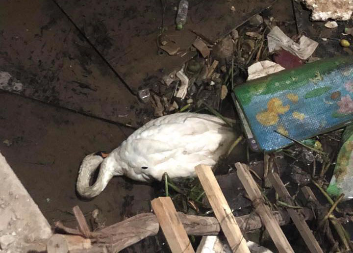 Nóng 24h qua: Nhiều vấn đề nóng được nêu tại kỳ họp thứ 7, Quốc hội khóa XIV - 4