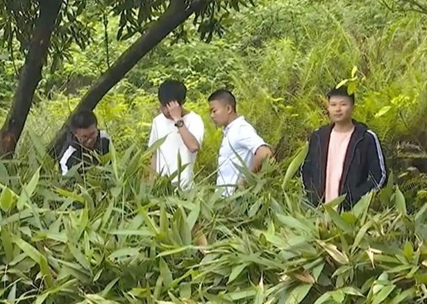 TQ: Đi dạo chơi, tình cờ vấp phải trứng khủng long 66 triệu năm tuổi - 1