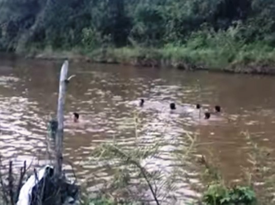 Nóng 24h qua: Nước sông Tô Lịch đã bớt sánh đặc, giảm mùi hôi thối - 3