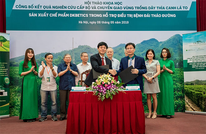 Công bố nghiên cứu về dây thìa canh lá to hỗ trợ điều trị bệnh đái tháo đường - 1