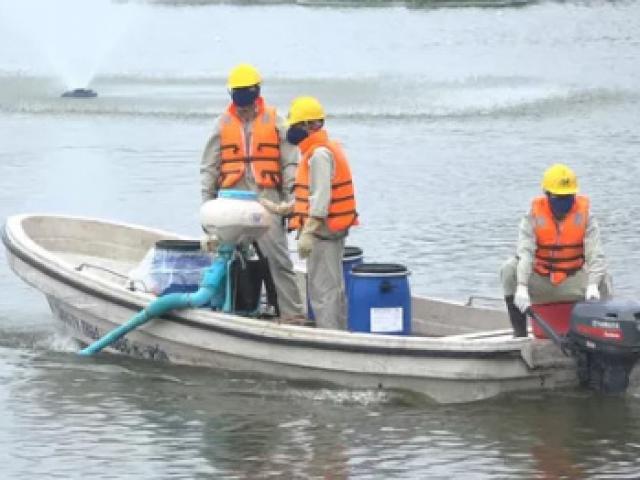 Tin tức trong ngày - Hà Nội nói gì về chế phẩm xử lý nước độc quyền và vụ 200 tấn "cá chết trắng" hồ Tây?