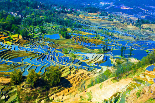 14. Ruộng bậc thang Nguyên Dương: Những cánh đồng ruộng bậc thang ở tỉnh Vân Nam trông nhưng một bức tranh vẽ tuyệt đẹp.