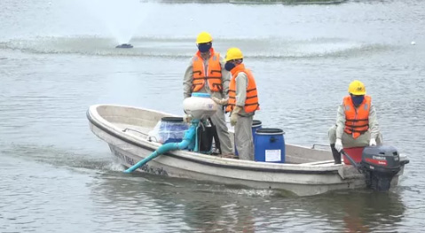 Hà Nội nói gì về chế phẩm xử lý nước độc quyền và vụ 200 tấn &#34;cá chết trắng&#34; hồ Tây? - 1