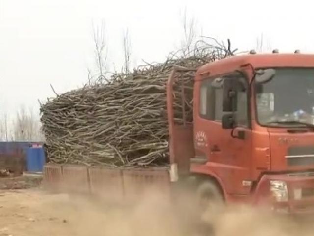 Media - "Tuyệt chiêu" bốc dỡ 10 tấn thép trong chưa đầy 5 giây