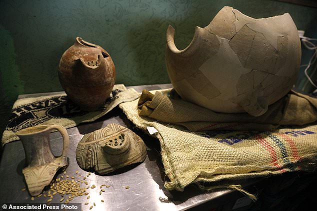 Phát hiện vi sinh vật sống suốt 5.000 năm, mang về làm ra bia - 2