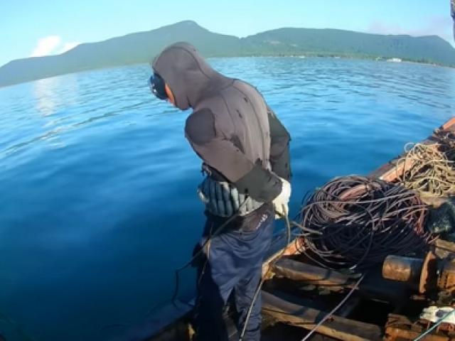 Tin tức trong ngày - Săn "thần dược" biển Phú Quốc