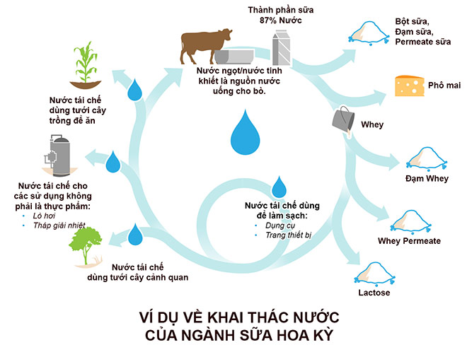 Bơ sữa Hoa Kỳ: các biện pháp sáng tạo bảo vệ môi trường - 2