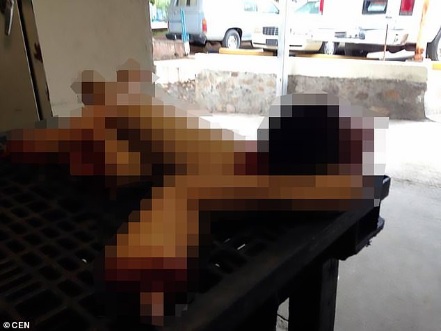 Hàng trăm xác chết chất đống ở nhà xác Mexico, để 2 năm mới khám nghiệm tử thi - 3