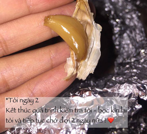 Hướng dẫn cách làm tỏi đen bằng nồi cơm điện, người vụng mấy cũng làm được - 5