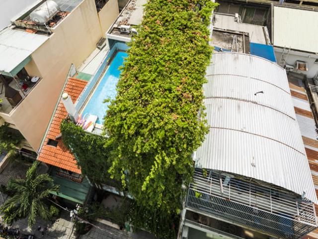 Kinh doanh - "Nhà biết thở" xanh rì dây leo ở TPHCM gây ấn tượng trên báo ngoại