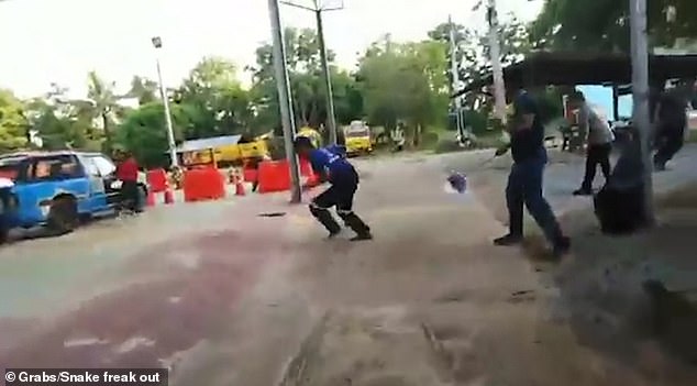 Thanh niên “ti toe” không sợ rắn, dùng tay bắt và phản ứng kinh sợ khi bị rắn quấn tay - 2