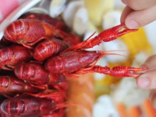 Ẩm thực - Sự thật về món tôm hùm đất: "Tiền mất tật mang"