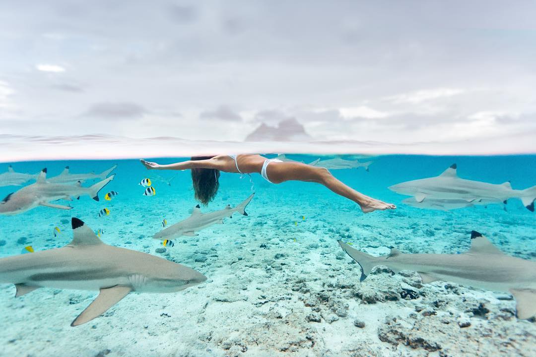Người đẹp bikini bơi trong vùng nước đầy cá mập - 2