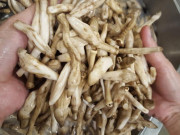 Thị trường - Tiêu dùng - Đua nhau săn lùng “đặc sản trời cho” mọc từ tổ mối giá gần 800.000 đồng 1kg