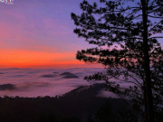 Đón bình minh bồng bênh mây trắng tựa ‘cõi thiên thai’ ở Hòn Bồ