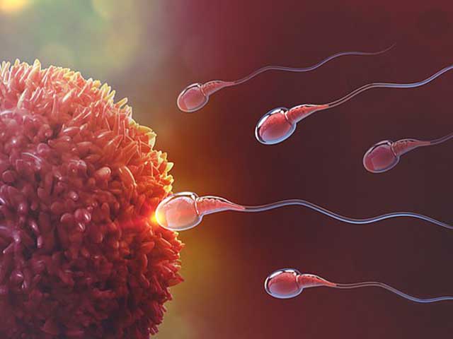 Sức khỏe đời sống - Bị vô sinh nhưng vẫn sinh đứa con thứ 4 một cách thần kỳ