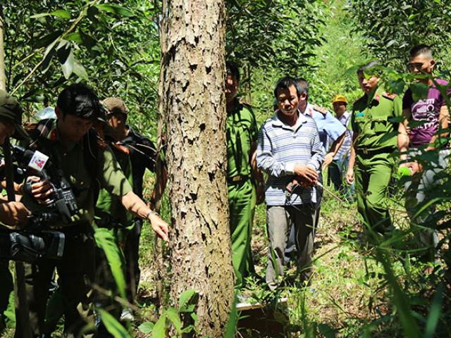 Tin tức trong ngày - Vụ "đầu độc" 10ha rừng thông: Thực nghiệm lại hiện trường