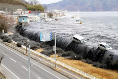 Người Nhật lo sợ “sóng thần đen” sắp ập tới - 1