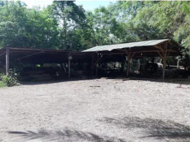 Pháp luật - Uống cà phê với chủ rồi ra xưởng cưa gỗ treo cổ tự tử