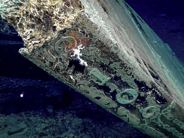 Thế giới - Xác tàu đắm 150 năm bí ẩn dưới đáy biển ở vịnh Mexico