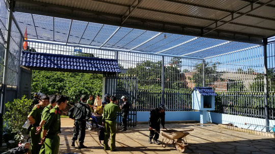 Ai là kẻ chủ mưu hạ độc rừng thông ở Lâm Đồng? - 1