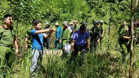 Ai là kẻ chủ mưu hạ độc rừng thông ở Lâm Đồng? - 2